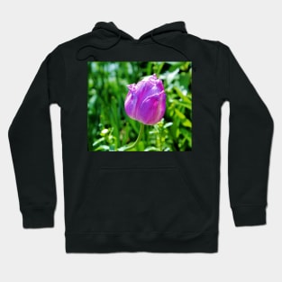 Leaning Tulip Hoodie